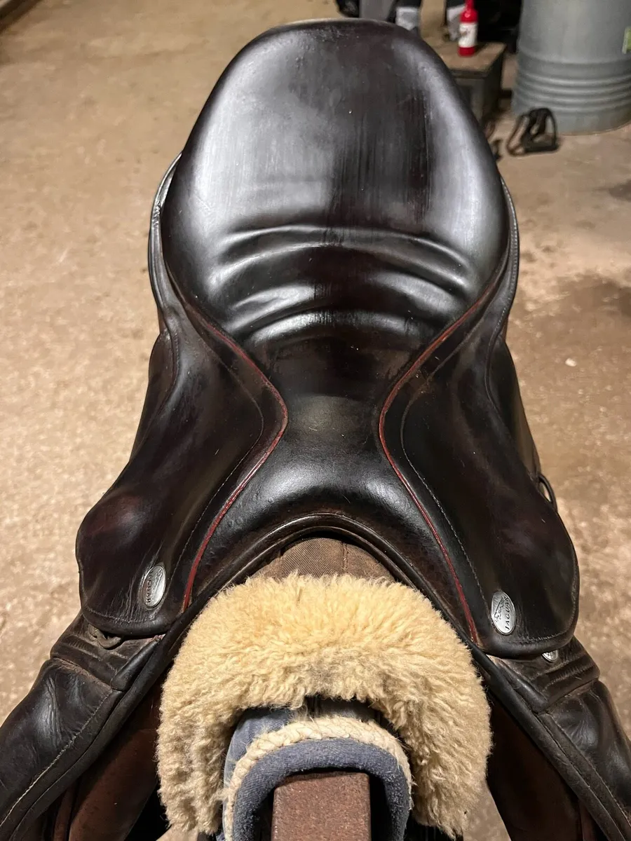 JAGUAR 17” & 17.5” SANTA CRUZ Brown Saddles - Image 3