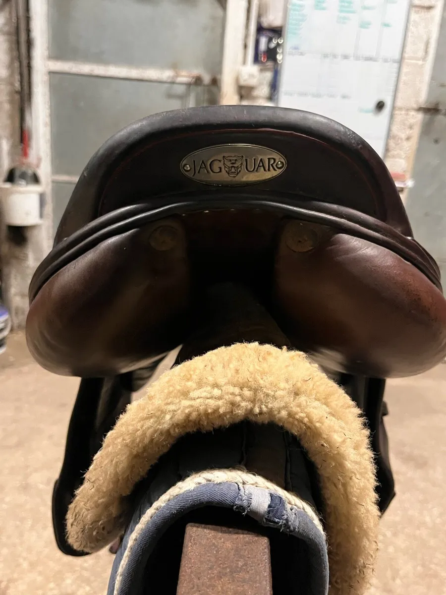 JAGUAR 17” & 17.5” SANTA CRUZ Brown Saddles - Image 4