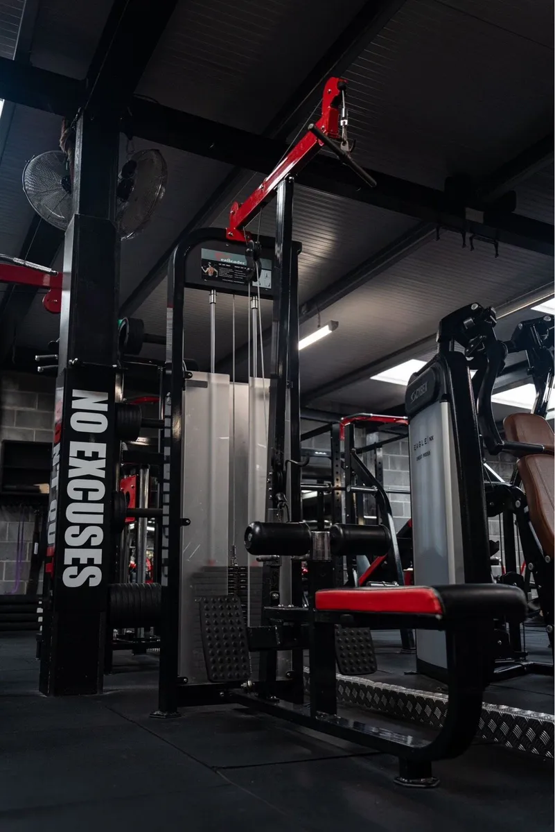 Realleader Lat Pulldown/Seated Row - Image 1
