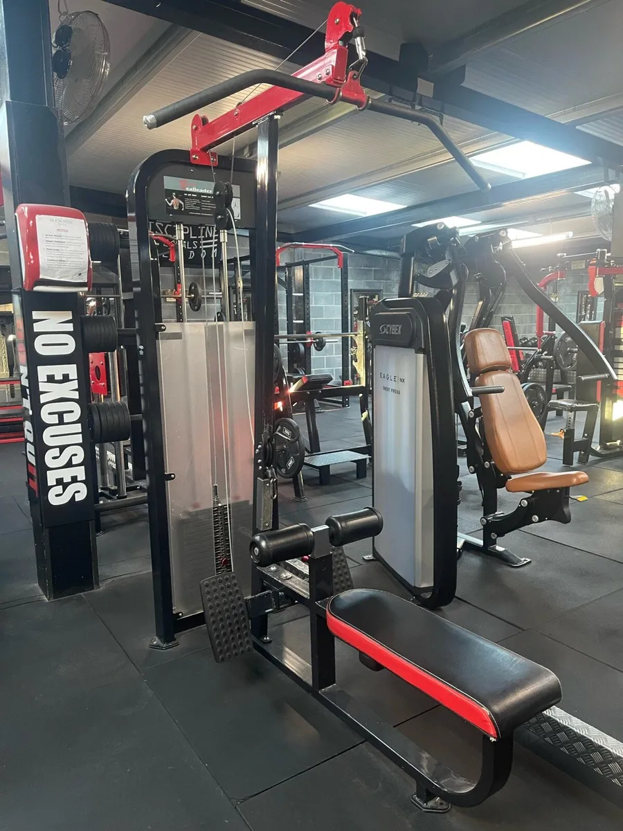 Realleader Lat Pulldown/Seated Row - Image 2