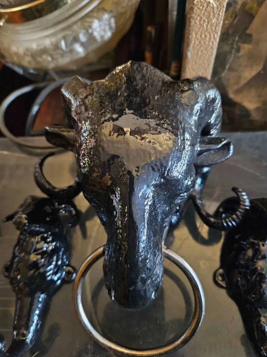 Cast Metal Rams Head Coat Hooks - Image 3