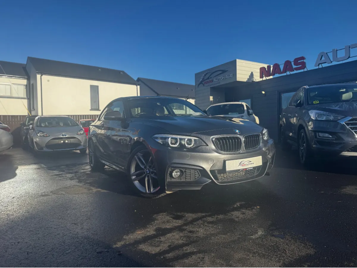 BMW 2-Series 218I M SPORT ZEM2 2DR AUTO - Image 2