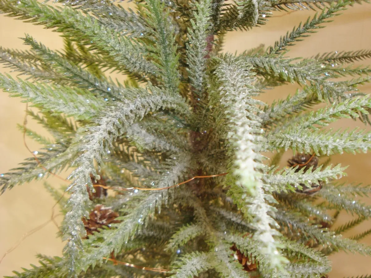 Table top tree with pinecones H85 - Image 2