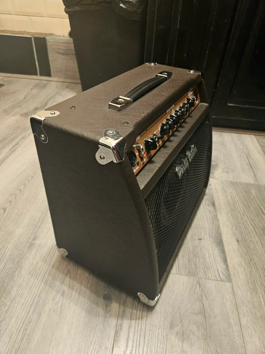 Acoustic guitar amp - Image 2