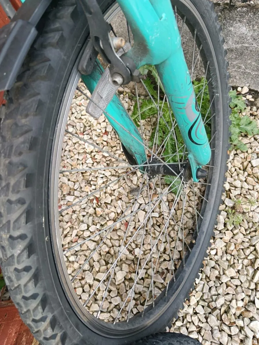 Ladies bicycle - Image 4