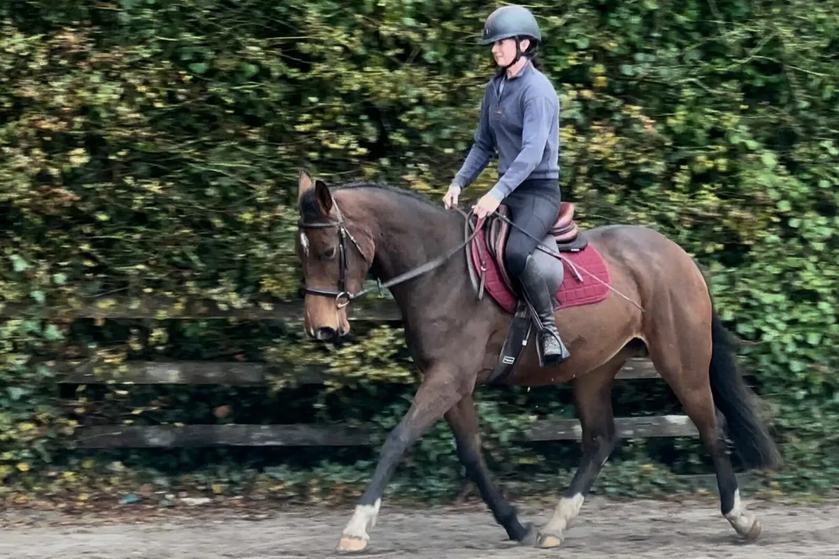 Filly Rising4 - Image 2