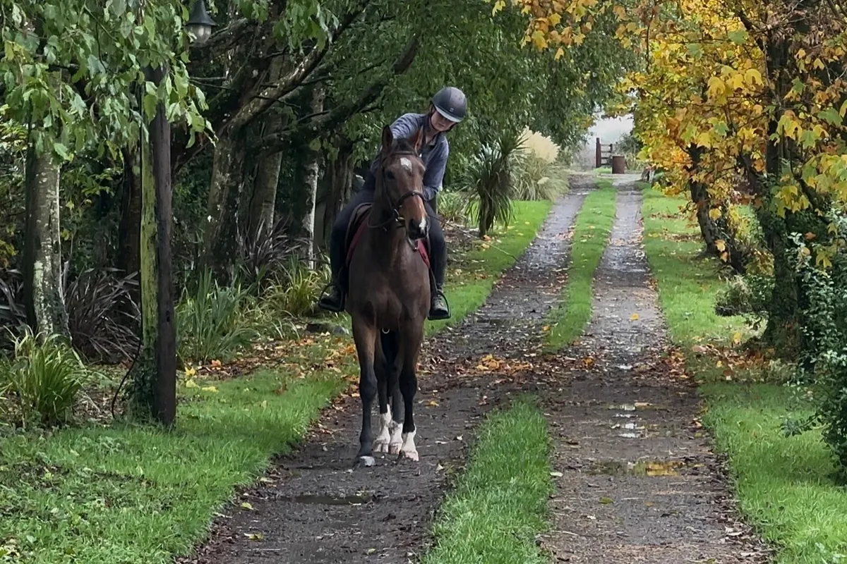 Filly Rising4 - Image 3