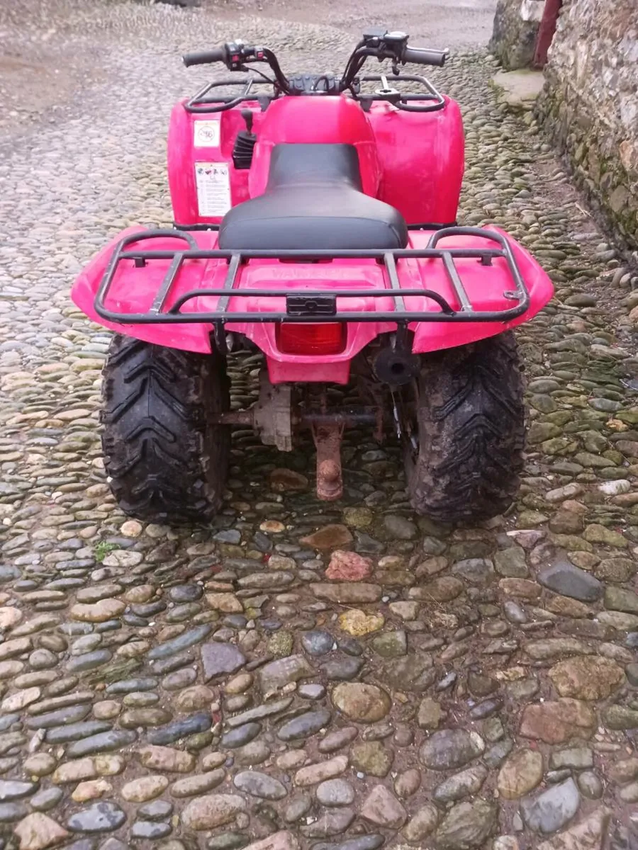 Yamha bruin 250 - Image 2