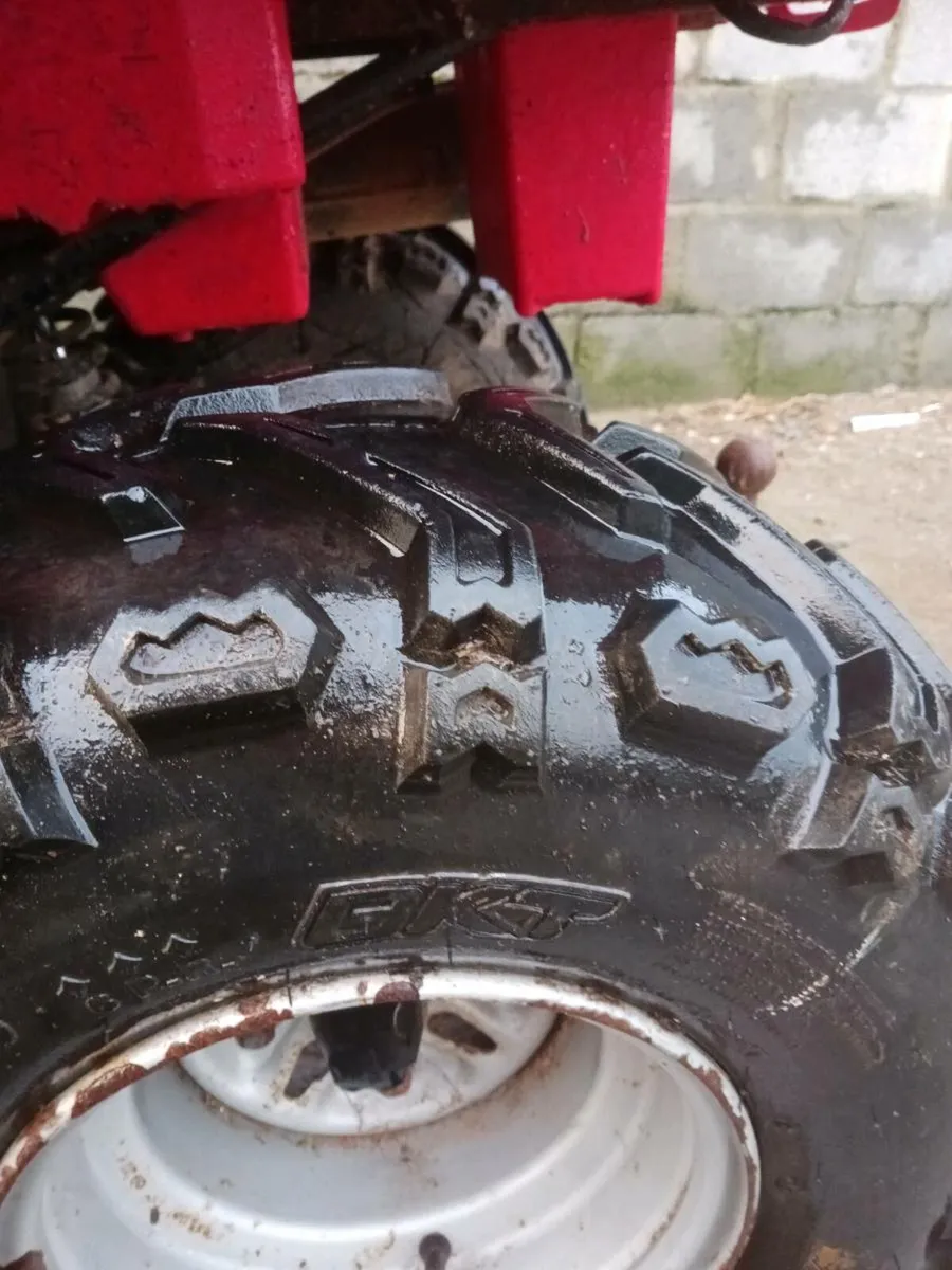 Yamha bruin 250 - Image 3