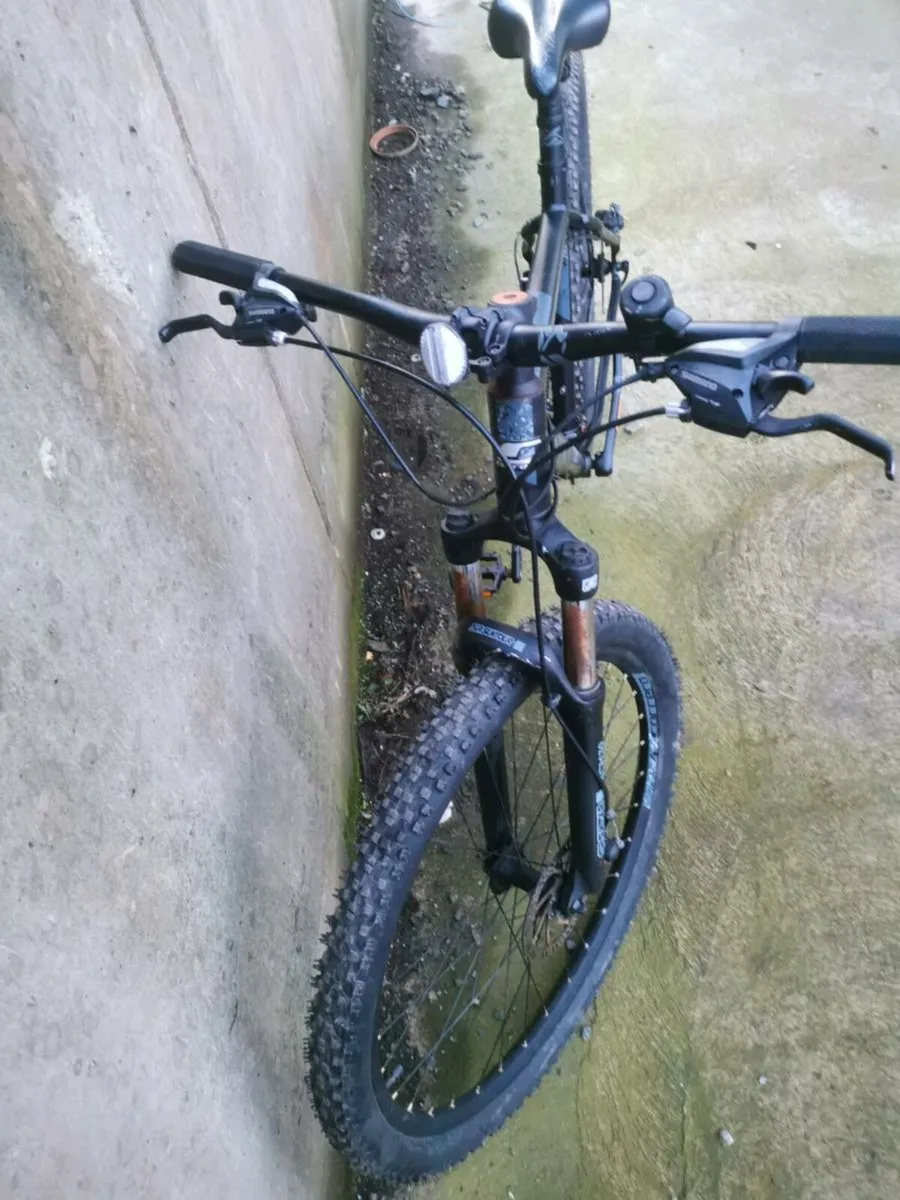 Adult bike for sale - Image 2