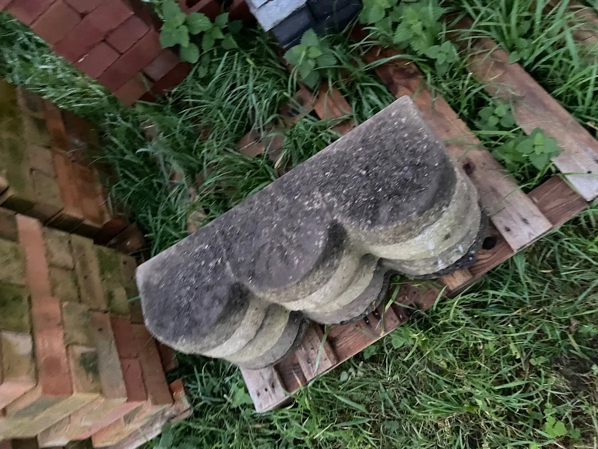 Stone / concrete edge garden - Image 1