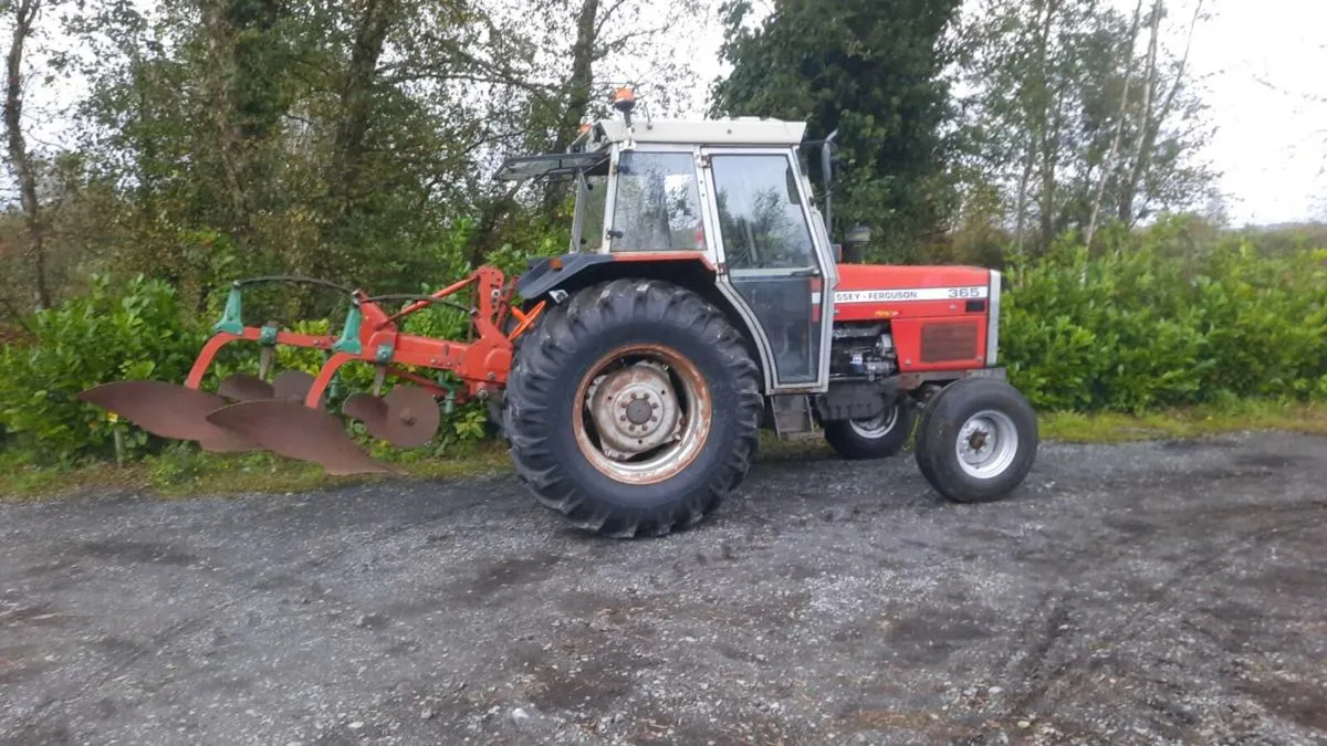 Massey ferguson 365 - Image 1