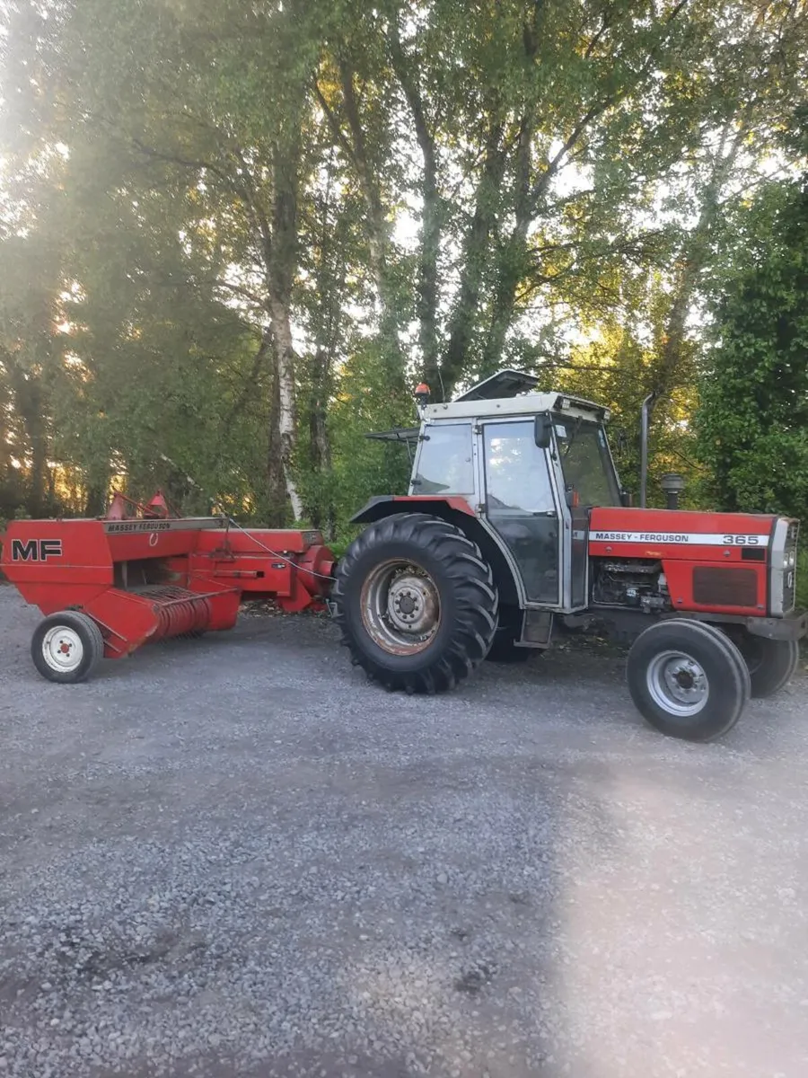 Massey ferguson 365 - Image 2