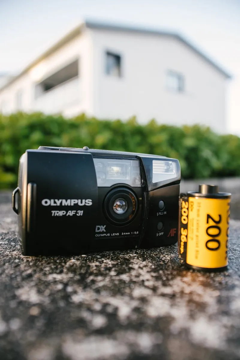 Olympus TRIP AF 31 + Kodak Gold 200 - Image 1