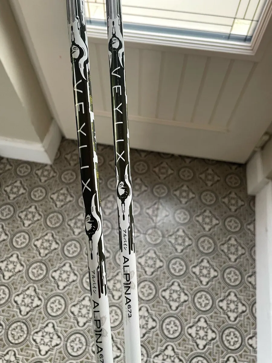 Exotics custom hybrids - Image 4