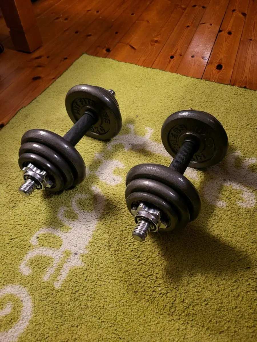 Dumbells like new - Image 1