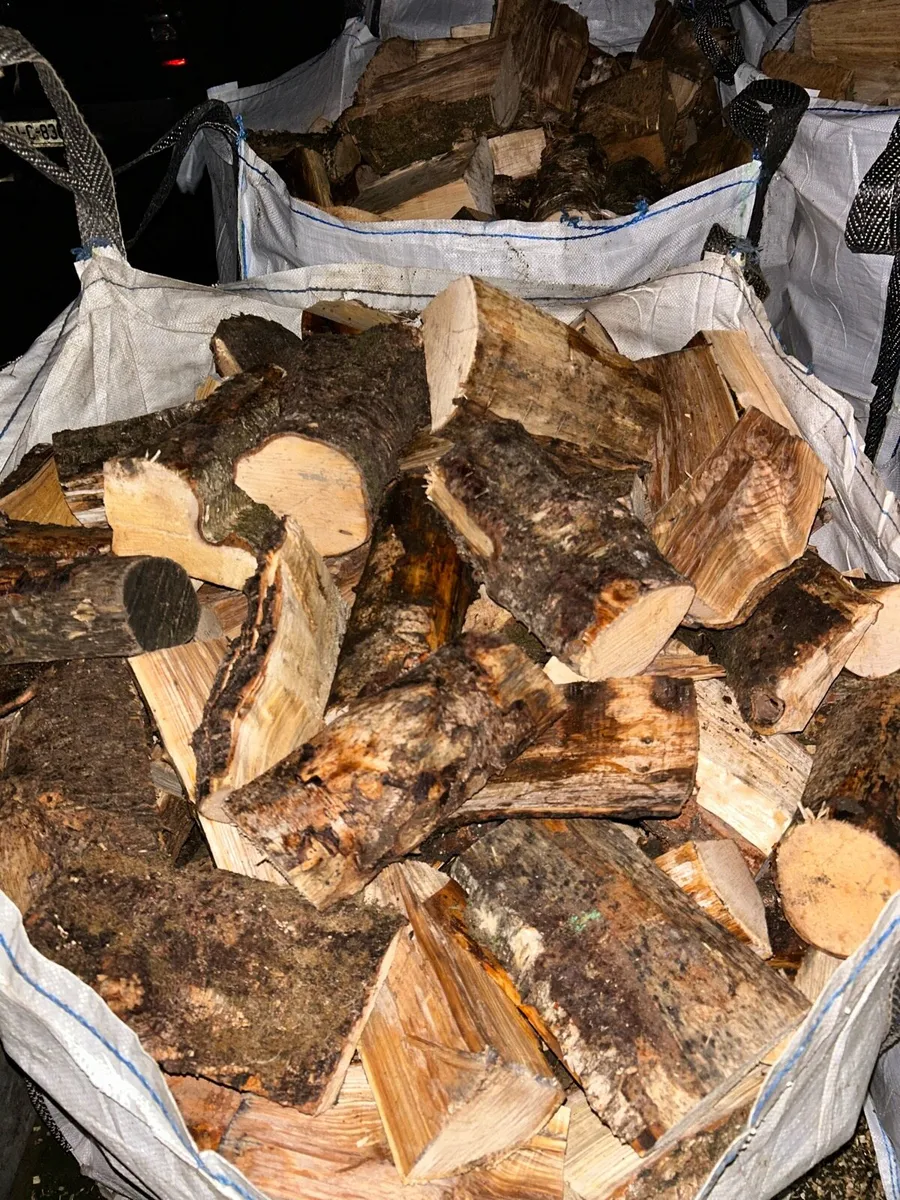 Firewood - Image 1