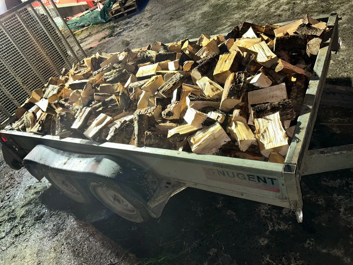 Firewood - Image 2