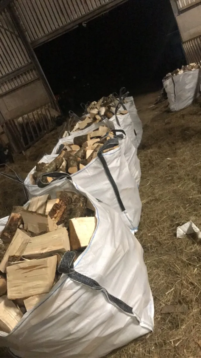 Firewood - Image 4