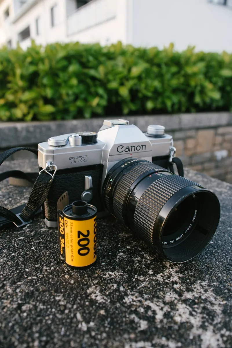 Canon TX + 35-70mm f4 FDn + Kodak Gold 200 - Image 1
