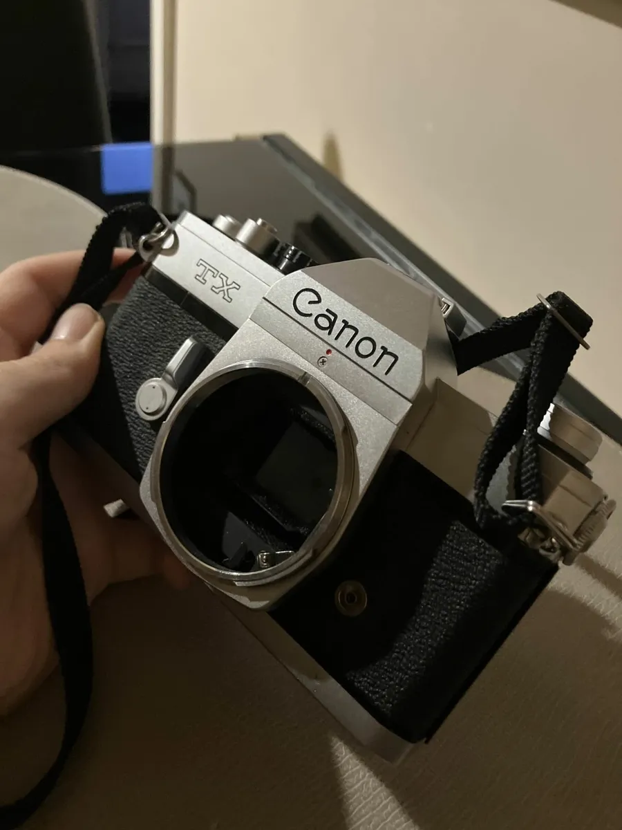 Canon TX + 35-70mm f4 FDn + Kodak Gold 200 - Image 2