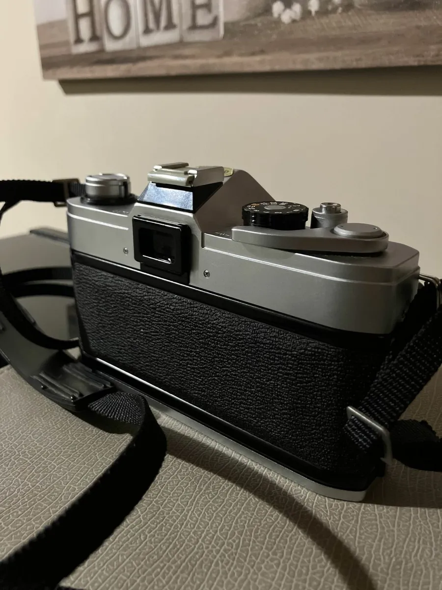 Canon TX + 35-70mm f4 FDn + Kodak Gold 200 - Image 3