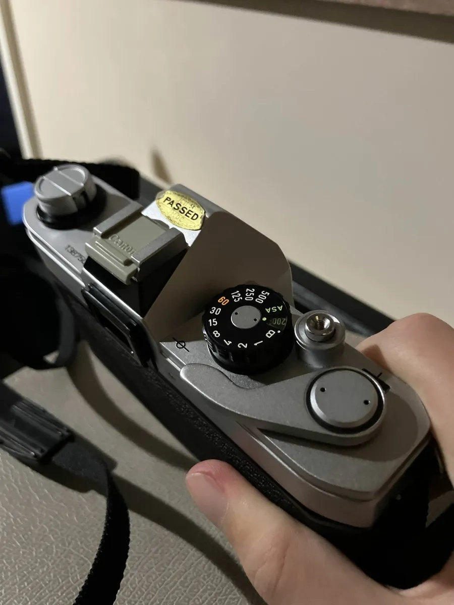 Canon TX + 35-70mm f4 FDn + Kodak Gold 200 - Image 4