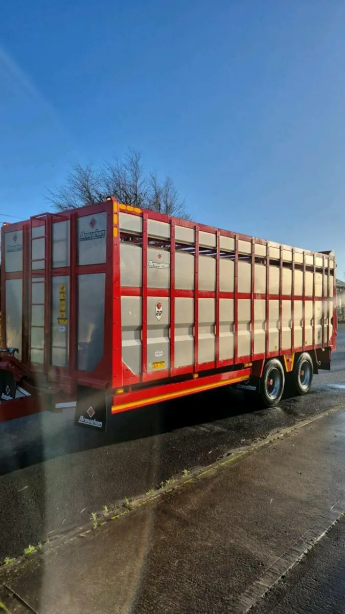 ⭐️⭐️22ft Broughan Livestock Trailer ⭐️⭐️ - Image 2