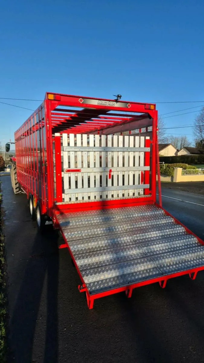 ⭐️⭐️22ft Broughan Livestock Trailer ⭐️⭐️ - Image 3