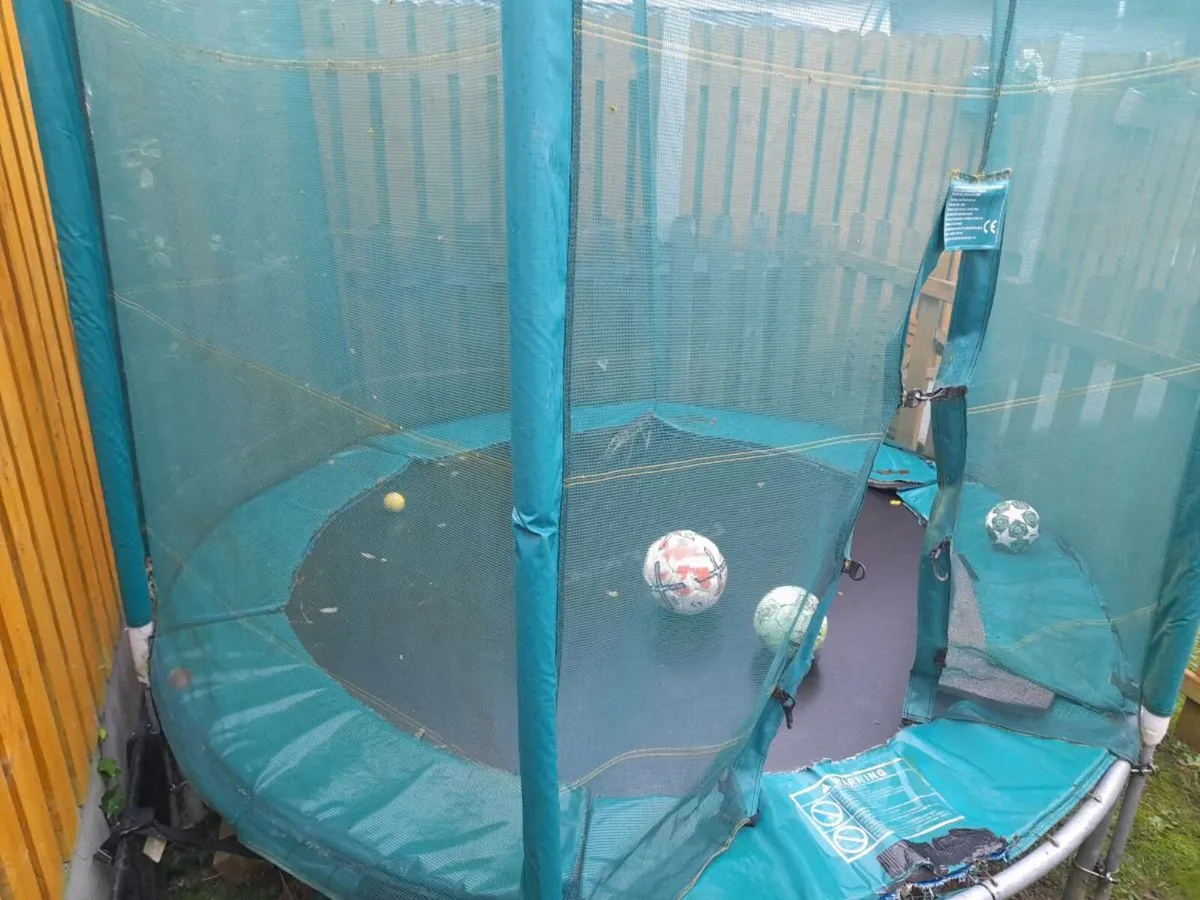 Trampoline - Image 2