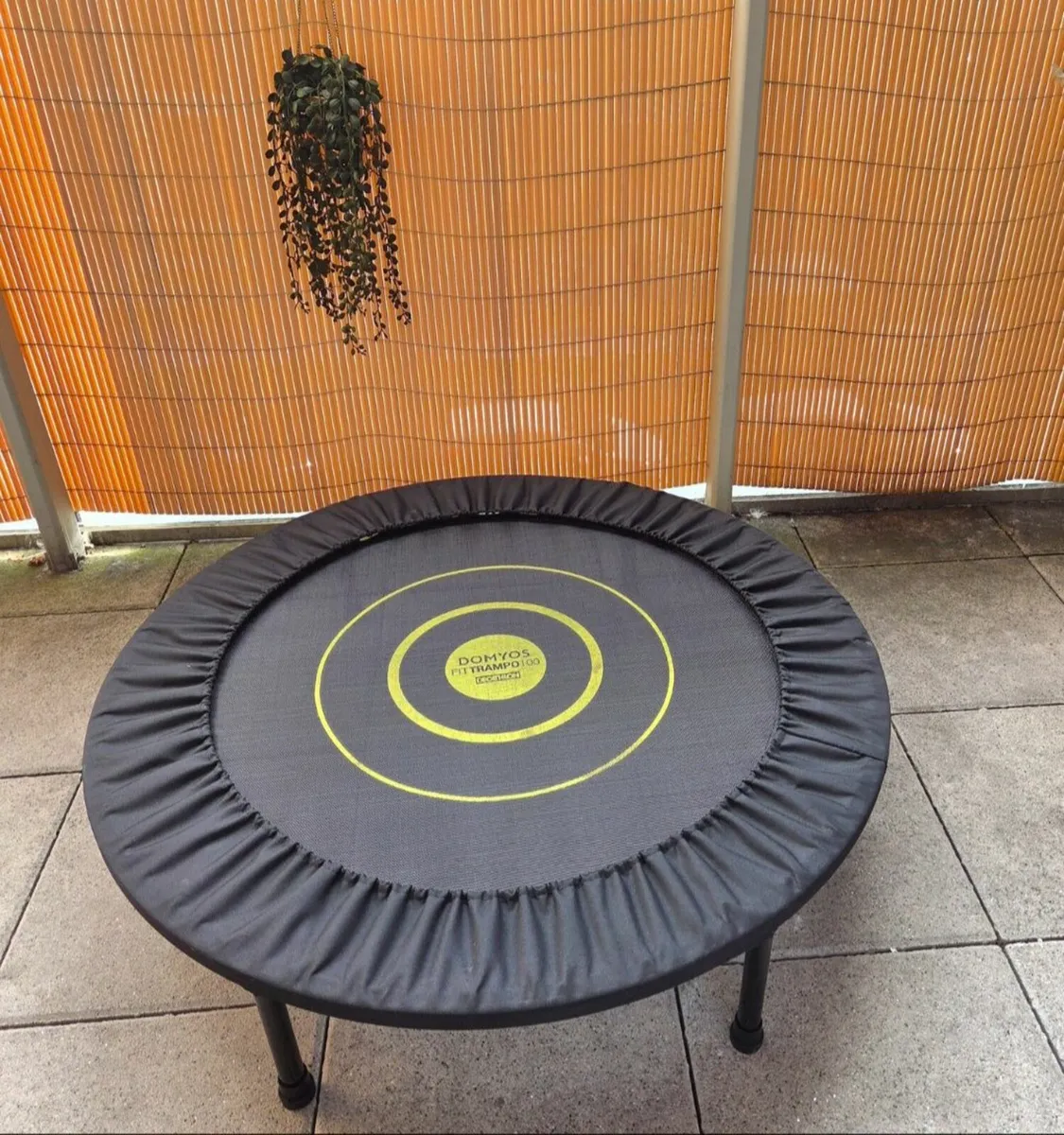 Trampoline - Image 1