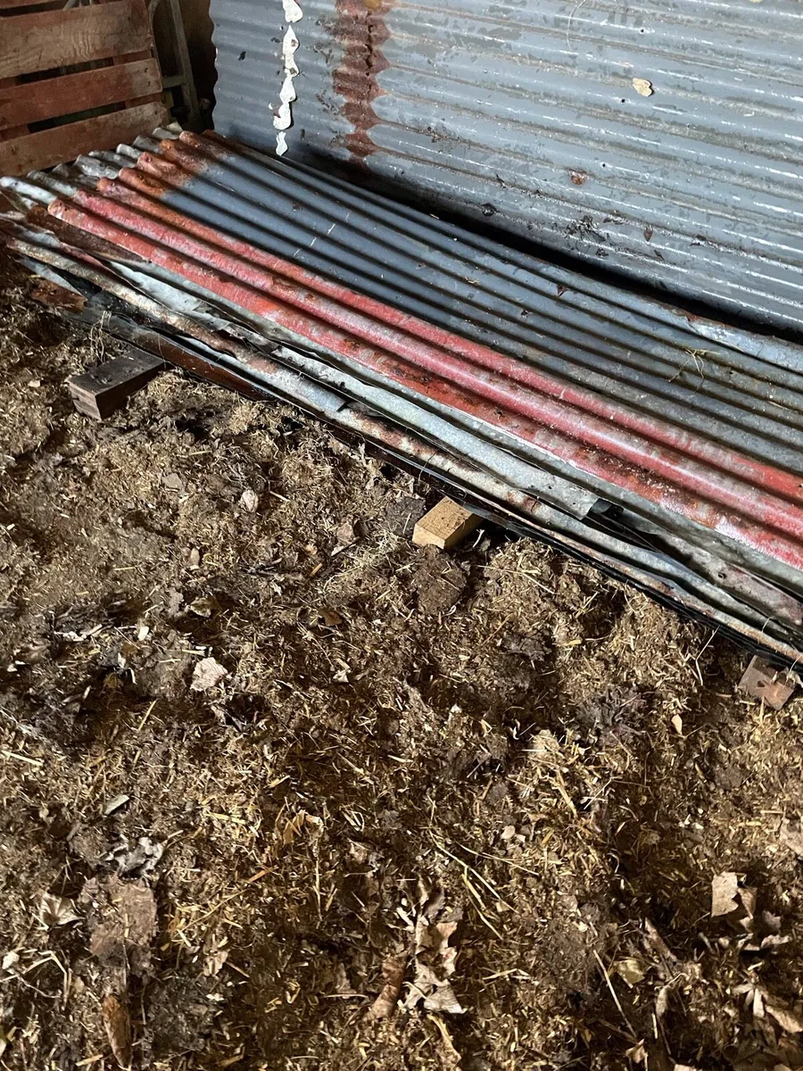 Corrugated Sheeting - Image 2