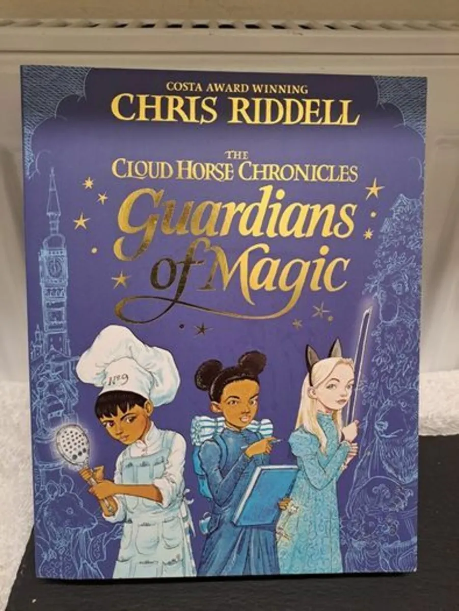 NEW The Guardians of Magic book - Image 1