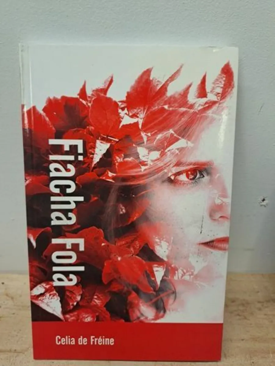 Irish poetry book 1st edition and signed - Image 1