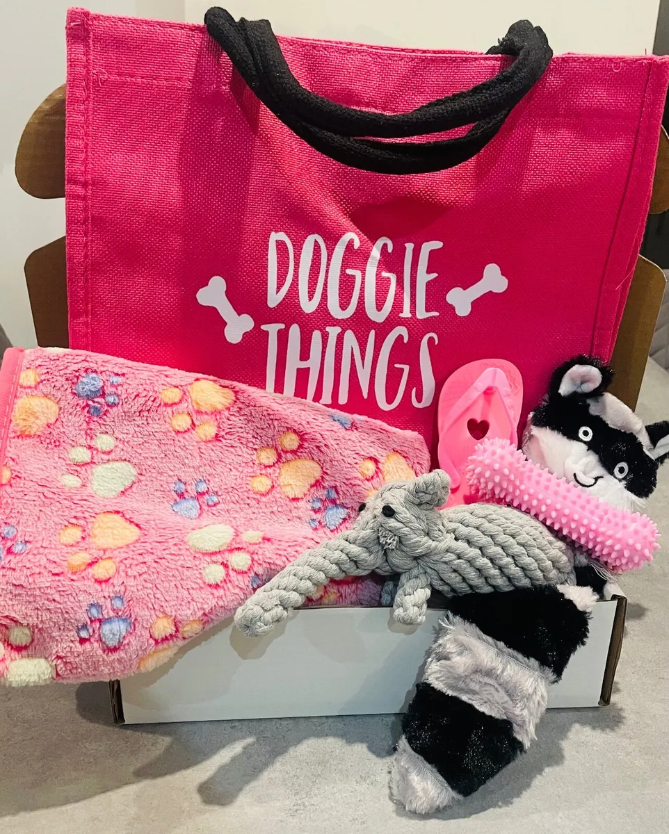 Pretty in Pink Doggie Tote Bag & Toys - Image 1