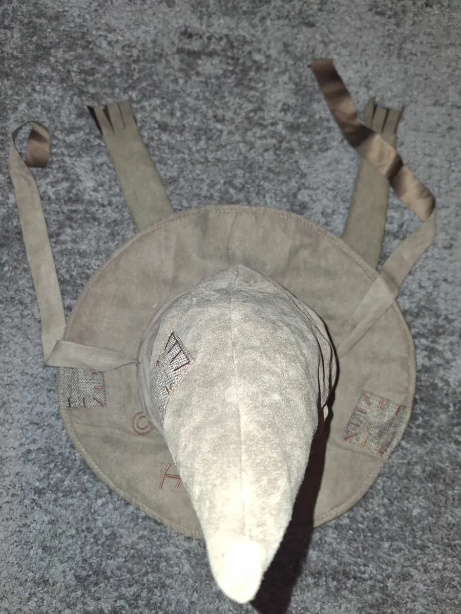 Harry Potter Talking Hat - Image 1