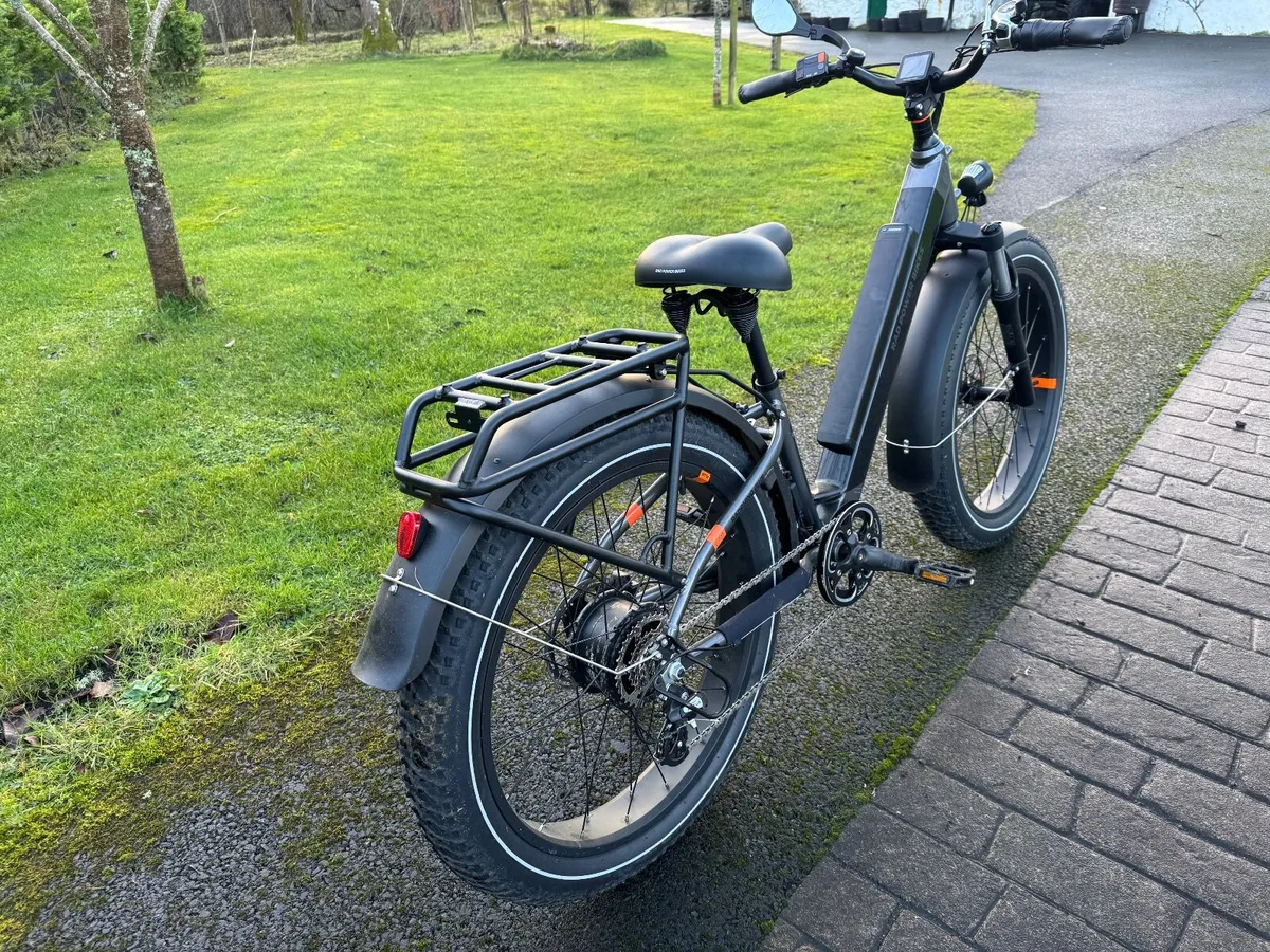 Rad Rhino electric bike - Image 4