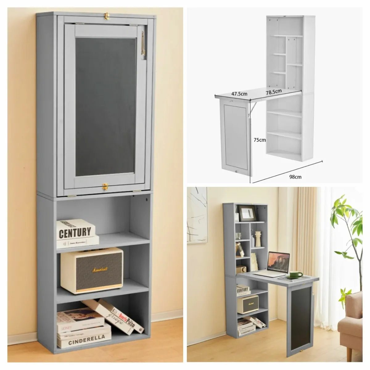 Bookcase/desk - Image 1