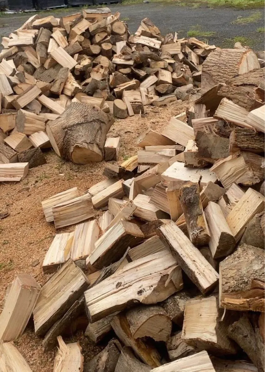 Firewood - Image 1