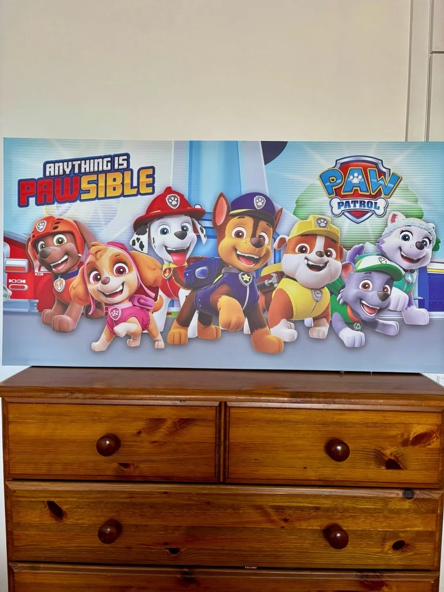 Large Paw Patrol Picture