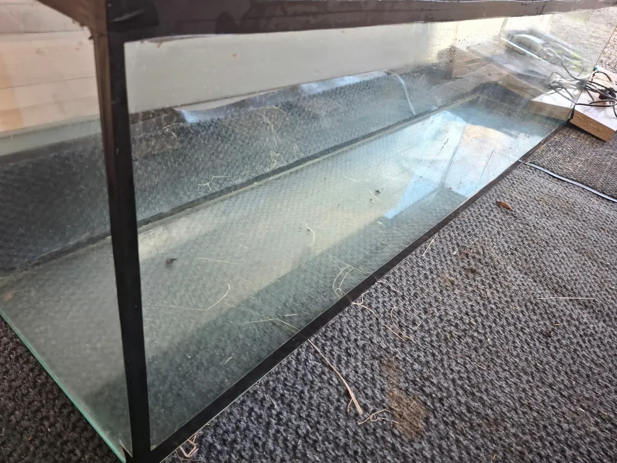 Large fish tank - Image 3