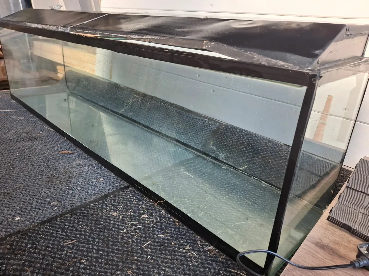 Large fish tank - Image 2