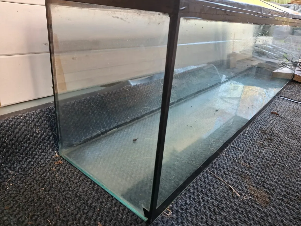Large fish tank - Image 4
