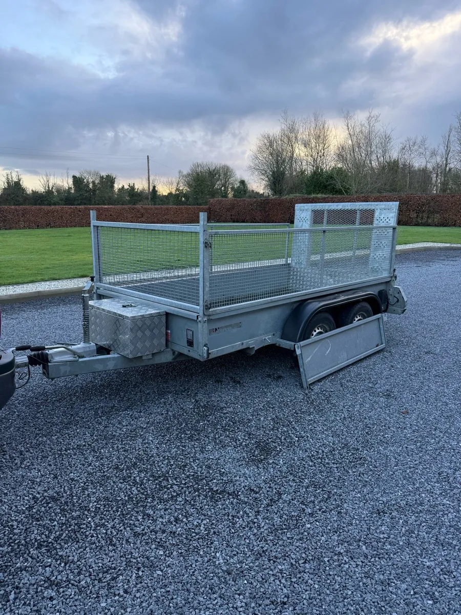 Nugent 10x5 - Image 3