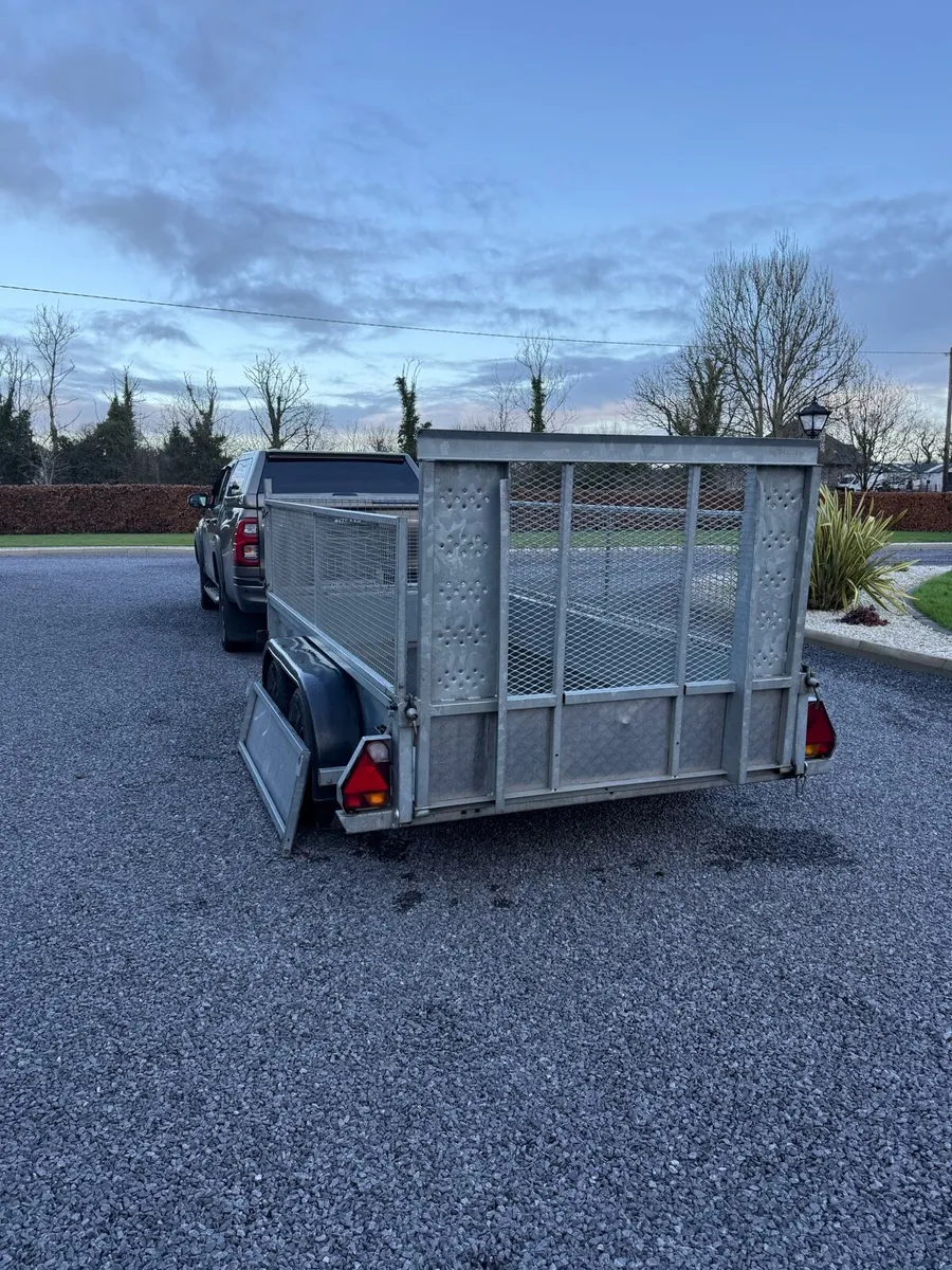 Nugent 10x5 - Image 4