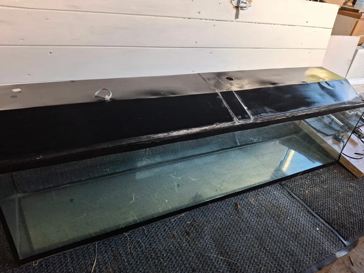 Large fish tank - Image 1