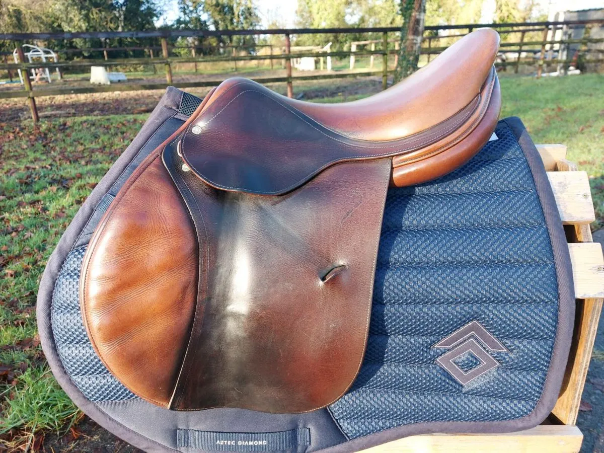 Antares close contact jump saddle - Image 1