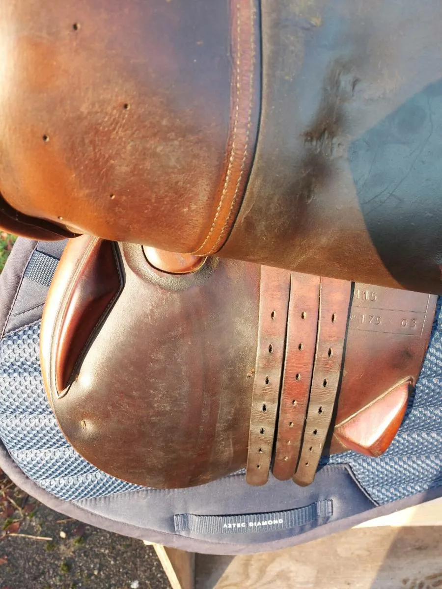 Antares close contact jump saddle - Image 3