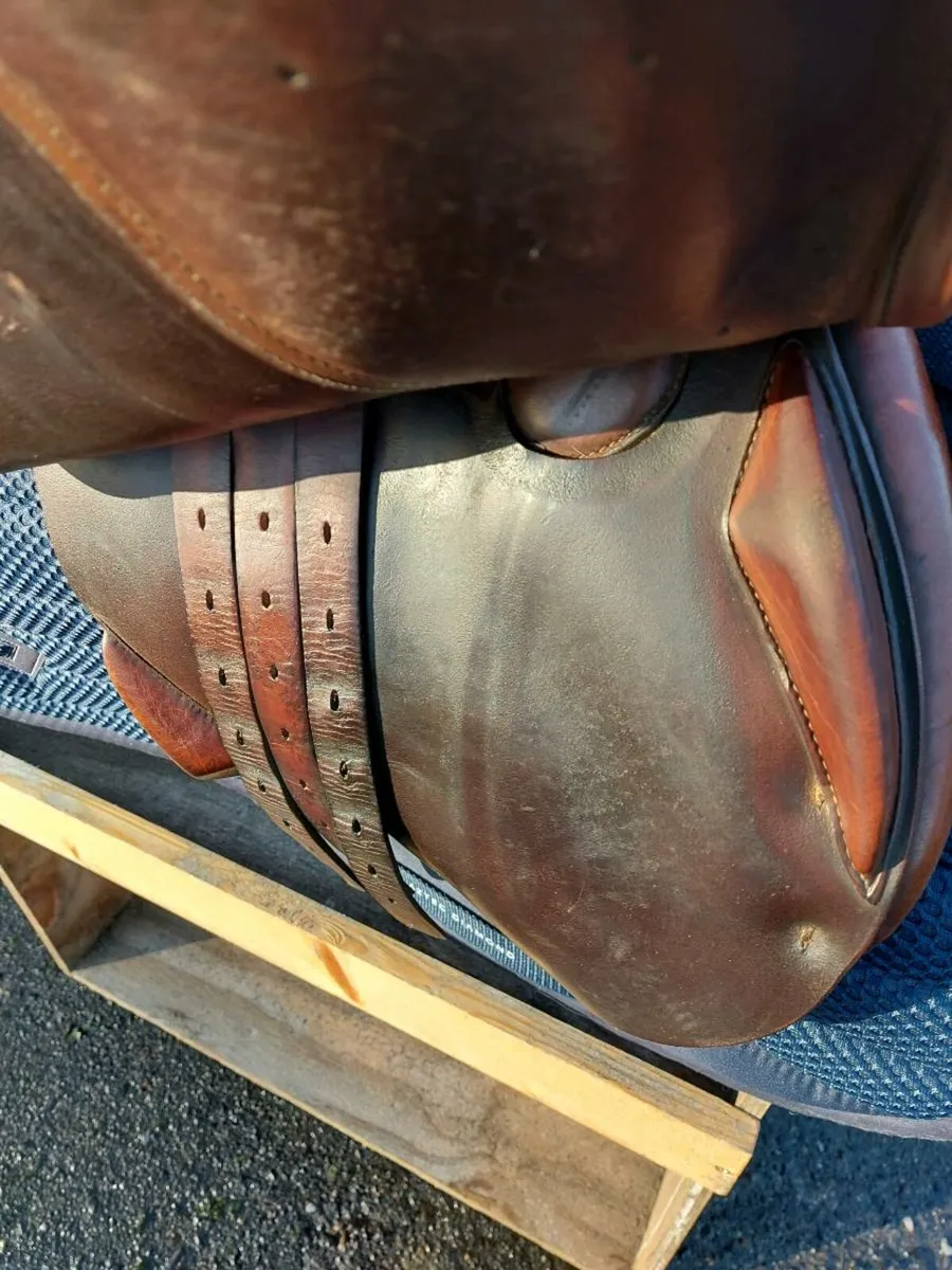 Antares close contact jump saddle - Image 4