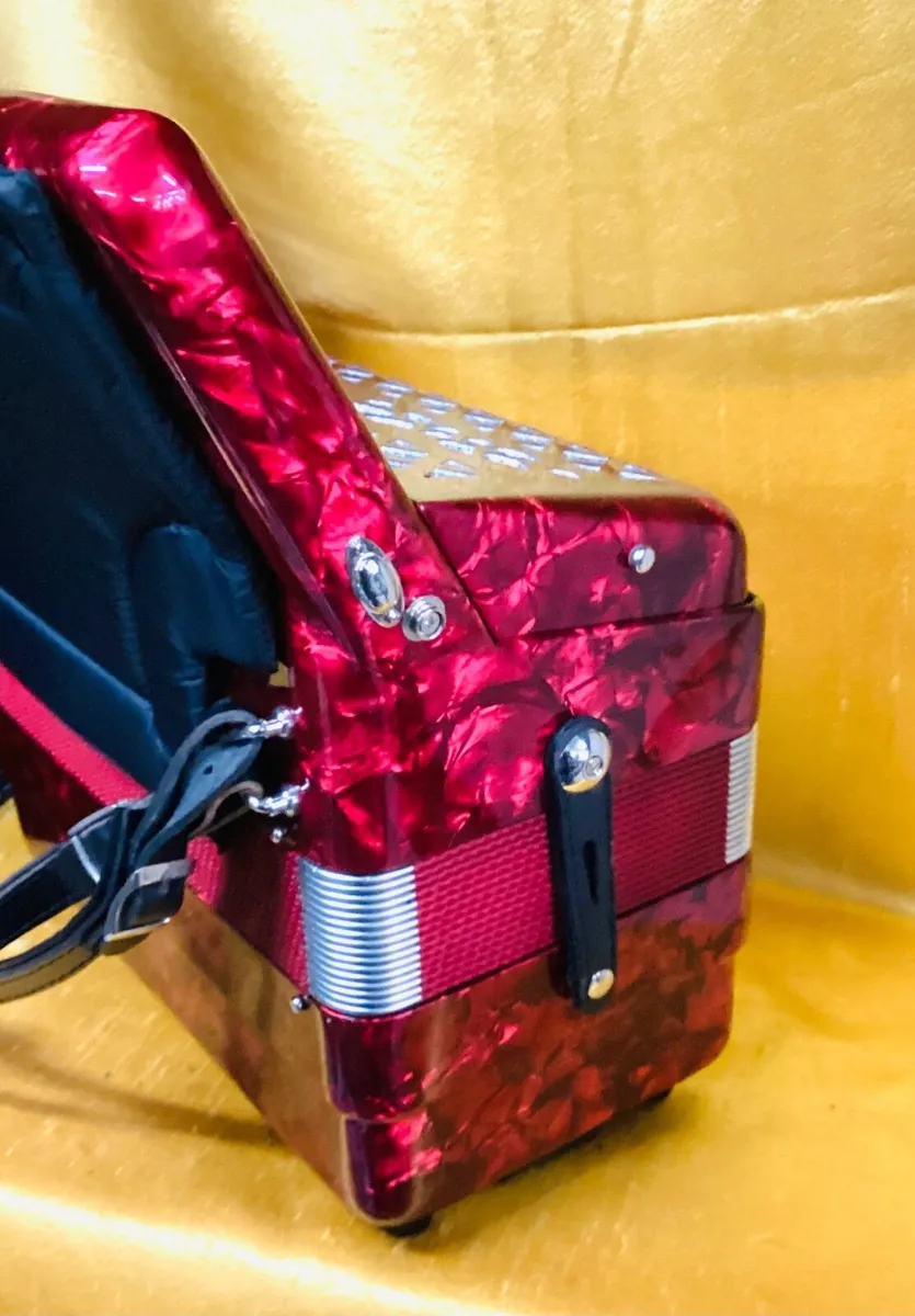 E SOPRANI 26 KEY 48 BASS 2 VOICE PIANO ACCORDION - Image 1